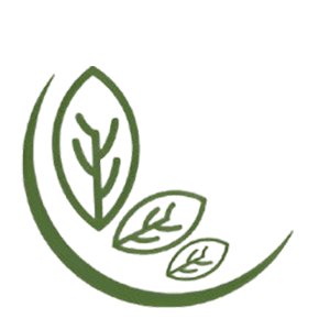 Número de Registro