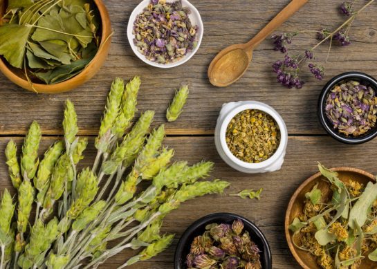 Fitoterapia: sanar con plantas