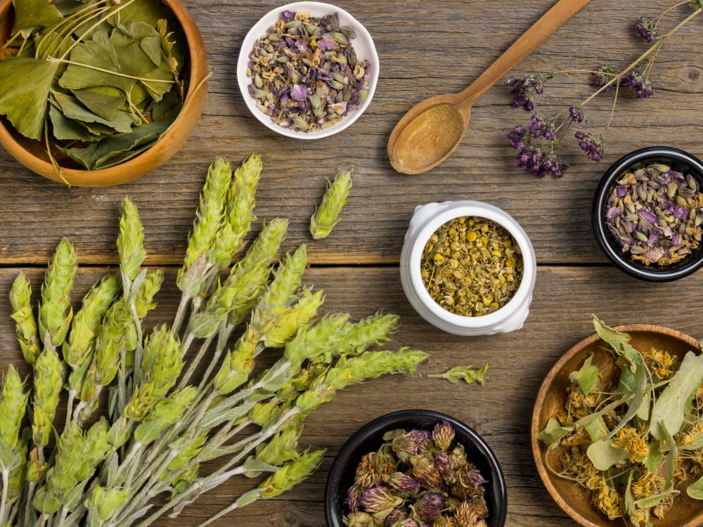 Fitoterapia: sanar con plantas